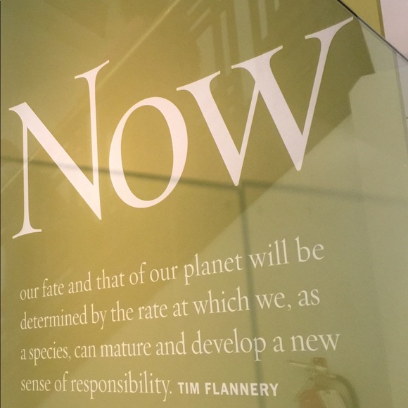 Meet your Posher, Leslie - Picture 2 of 8